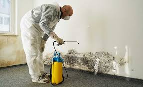 Best Biohazard Mold Removal  in Wanamingo, MN